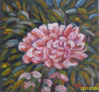 Bodeg&oacute;n: Flor  Crisantemo